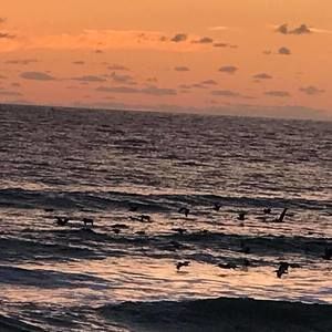 Meet your Posher, Connie